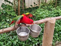 -南宫五洲植物乐园