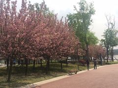 -星巴克(成都科学城店)