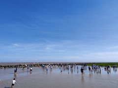 -南汇嘴观海公园