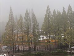 -九华山聚龙大酒店