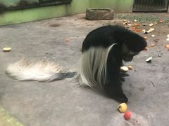 -石家庄市动物园