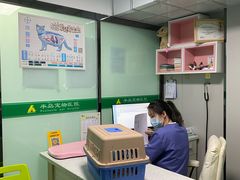-半岛宠物医院24小时(科华中路店)