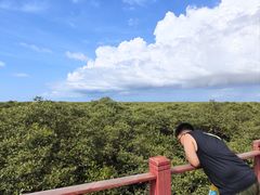 -北海金海湾红树林生态旅游区