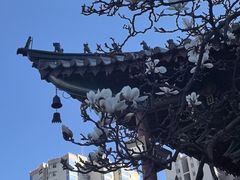 -真庆观