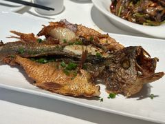 -金春禧(英雄山路旗舰店)