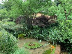 -杭州开元森泊度假乐园