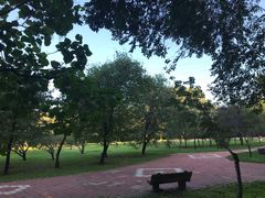 -黑龙江省森林植物园