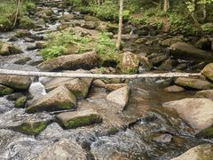 -汤旺河林海奇石景区