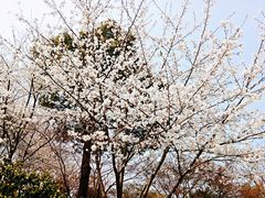 -杭州城北体育公园