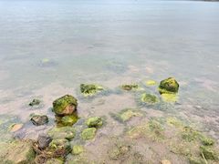 -月亮湾湿地公园
