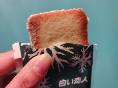 -关西国际机场直营免税店