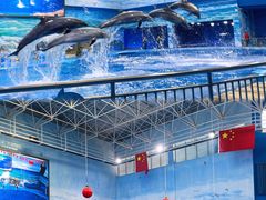 -多彩贵州城极地海洋世界