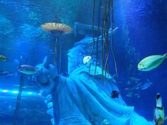 -沈阳海洋探索中心