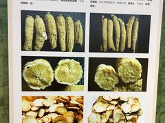 -广东中医药博物馆