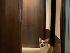 -成都安仁福朋喜来登酒店