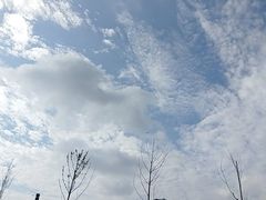 -千年银杏谷文化旅游区