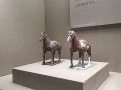 -太原市博物馆