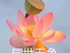 -西树泡芙(凯德晶品店)