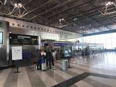 -米兰马尔彭萨国际机场