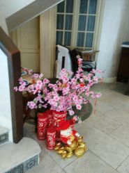 -海茱雅科技健康美容