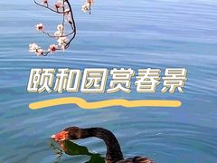 -颐和园