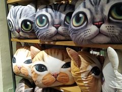 景点-猫咪博物馆(顶澳仔猫街店)