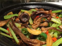铁板杏鲍菇-荣品荟·融合餐厅(月湖广场店)