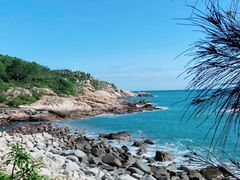 -广东惠东海龟国家级自然保护区