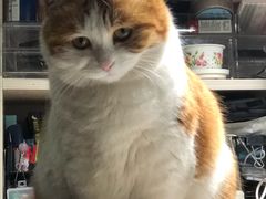 -君力全民健身工作室(大象投资大厦店)