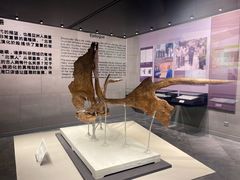 -北京周口店北京人遗址博物馆