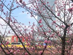 -望江楼公园