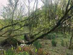 -西湖风景区-江洋畈生态公园