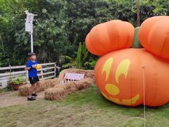 -HERRE·FARM 赫尔露营农场·团建聚会包场