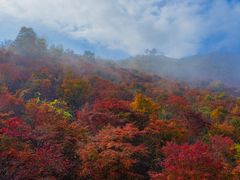 -龙道沟景区