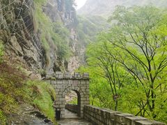 -少华山国家森林公园