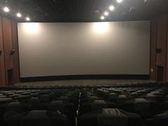 -汉阳天河电影城(王家湾店)