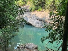 -广州白江湖森林公园