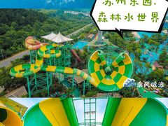 -苏州乐园森林水世界