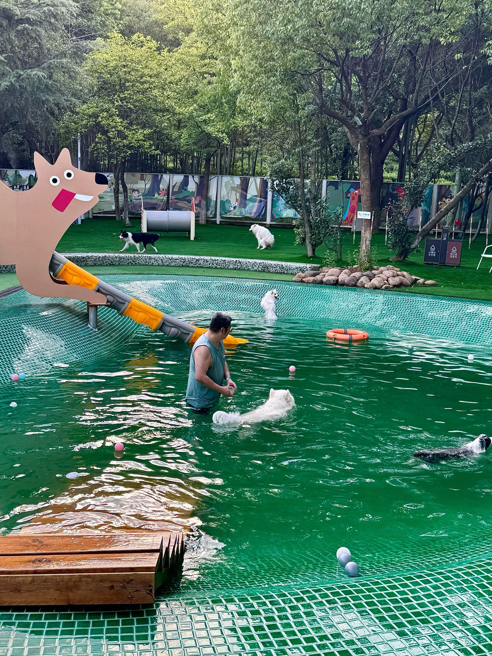 在苏州旺山!新开了一家宠物户外乐园!