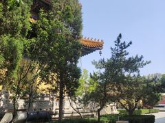 -挂甲禅寺