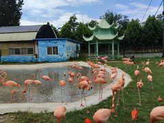 -秦皇岛野生动物园