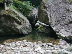 -牛背梁国家森林公园