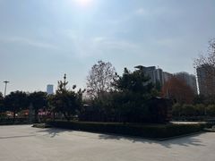 -木塔寺遗址生态公园