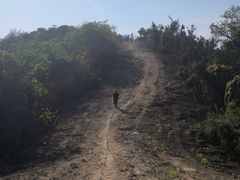 -青龙山国家森林公园