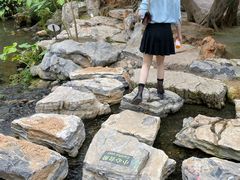 -南通洲际绿博园