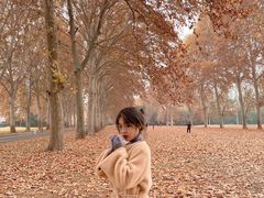 -河南省黄河迎宾馆