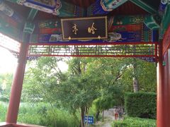 -近春园遗址