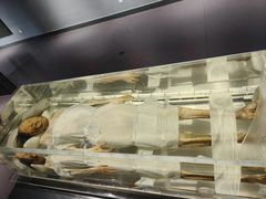 -荆州博物馆