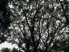 -广州长隆飞鸟乐园