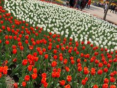 -长春公园(普阳街道)